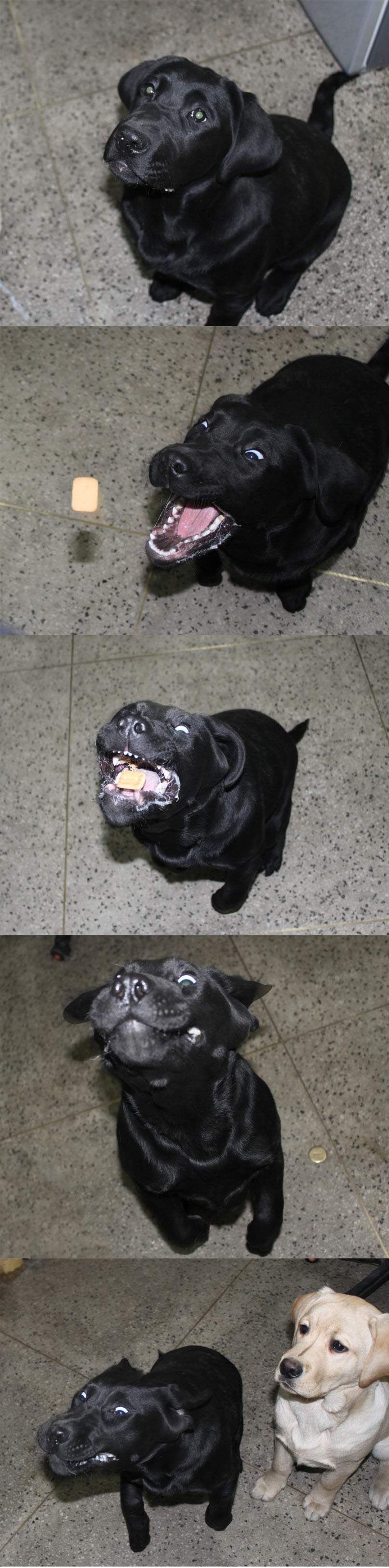 132936517863195.jpg