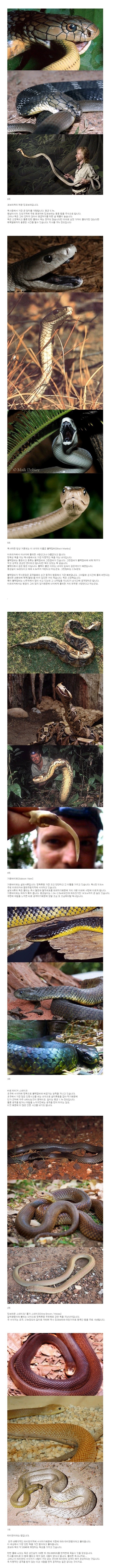 133533219634027.jpg