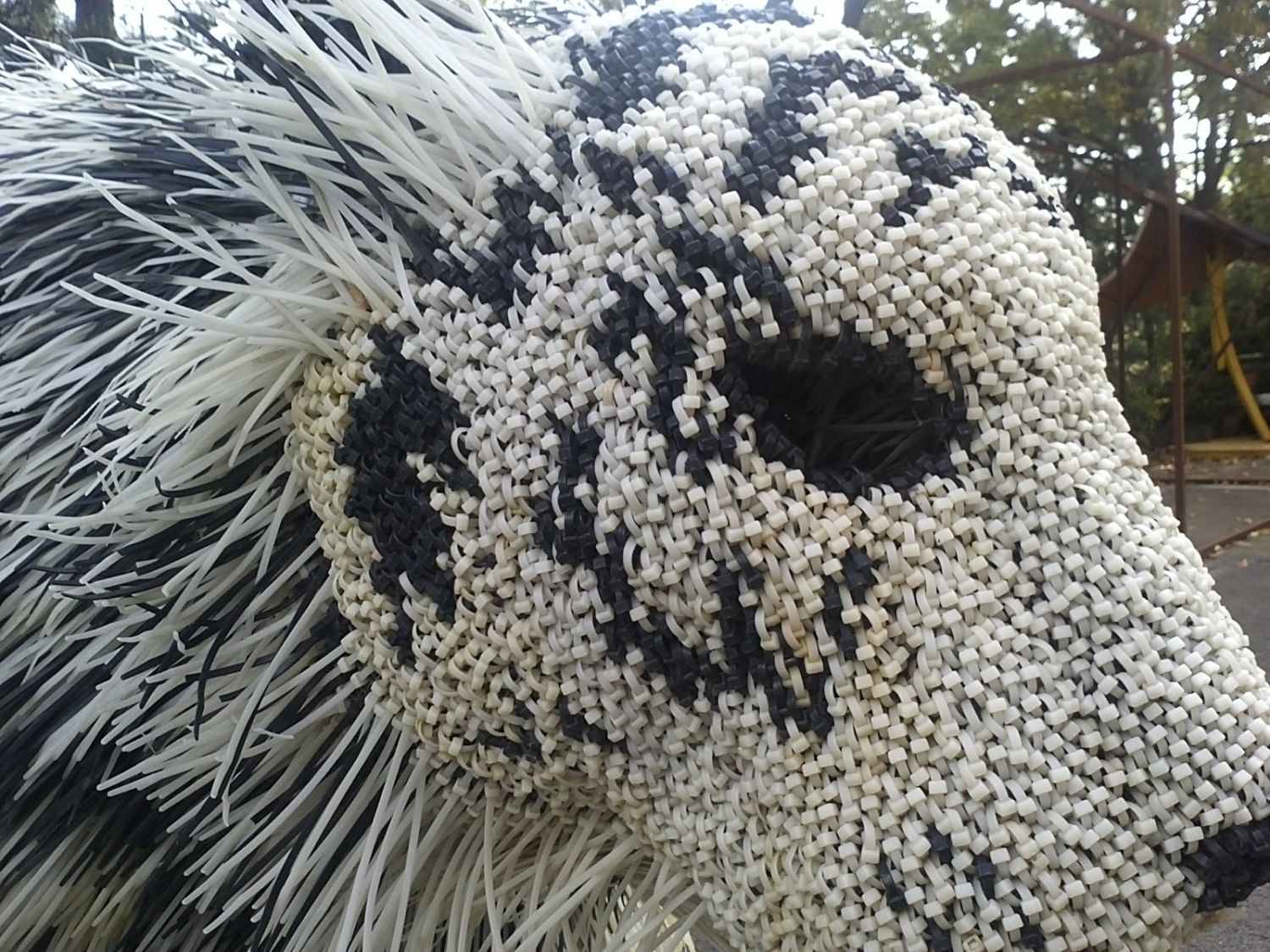 135013471754666.jpg