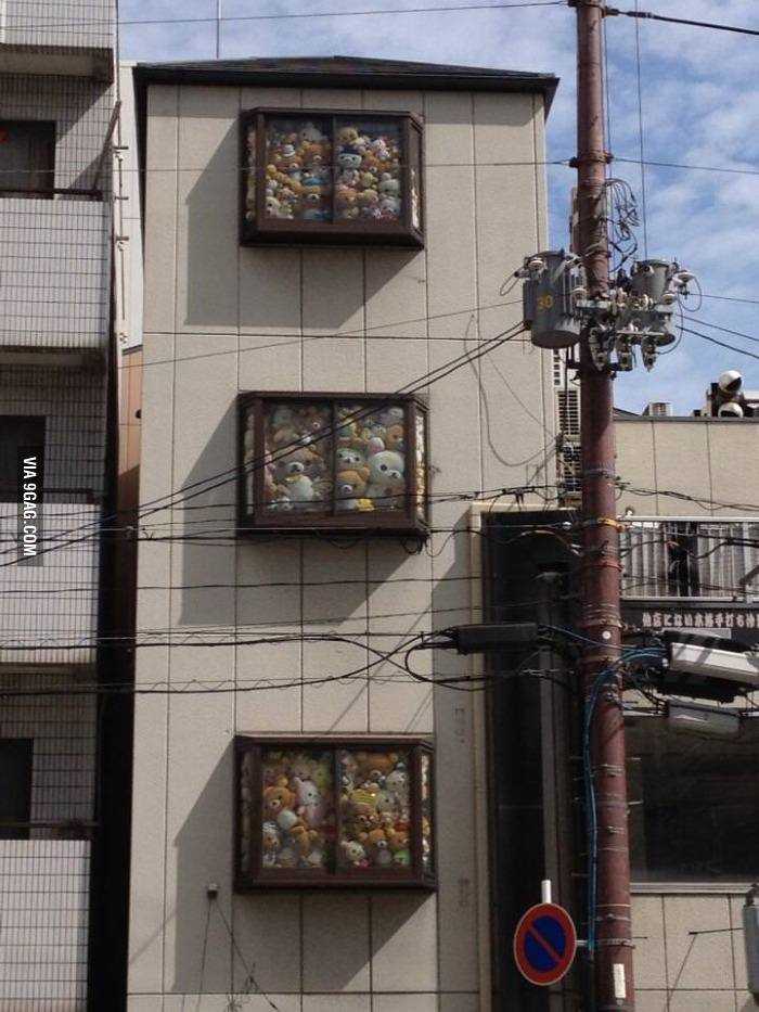 137044127434750.jpg