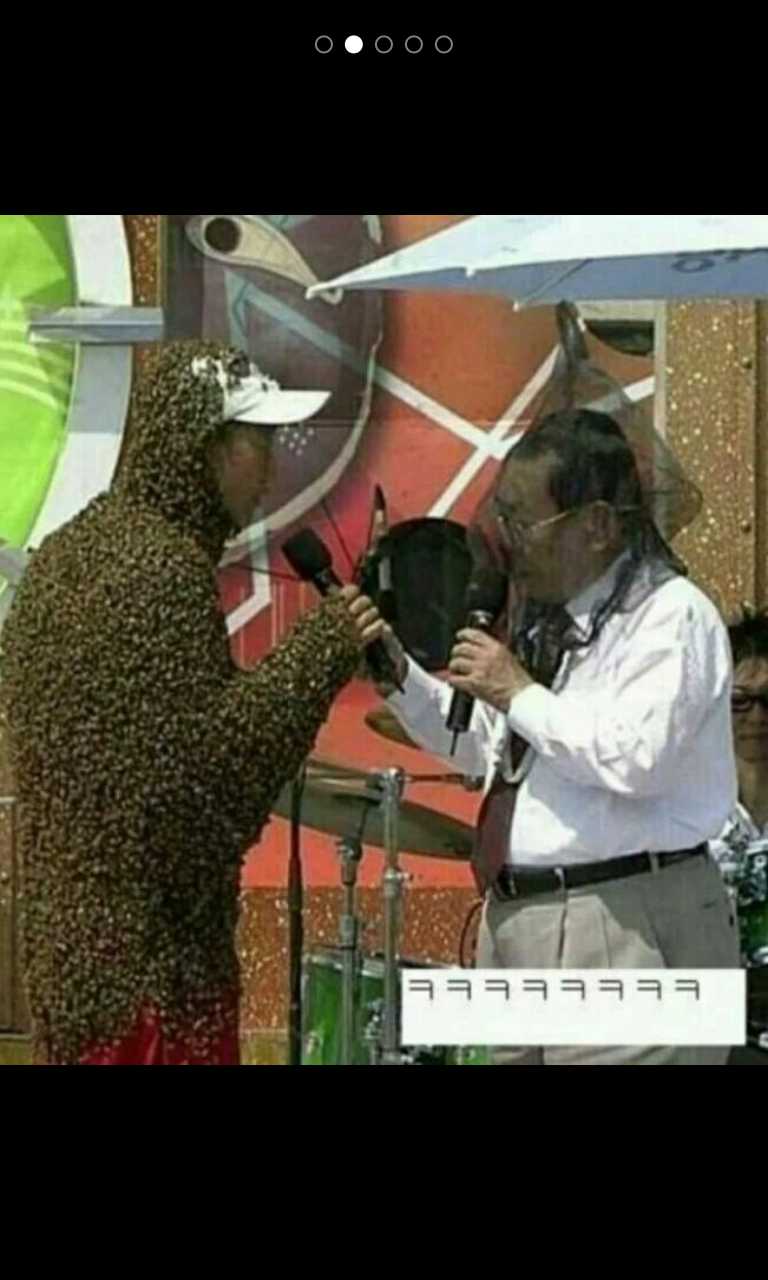 138211897431373.jpg