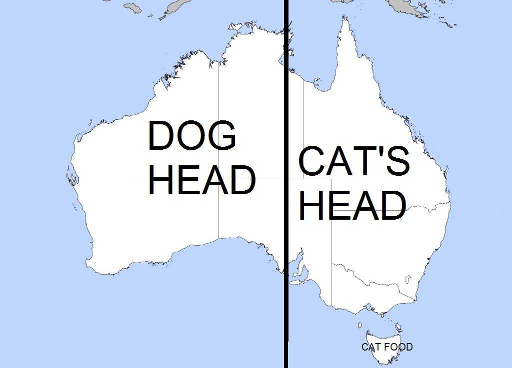 138337262455642.jpg
