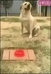 138655235127919.jpg