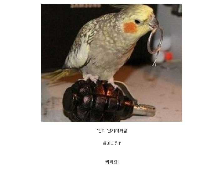 138759472666915.jpg