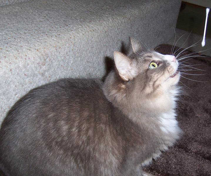 140414878213370.jpg
