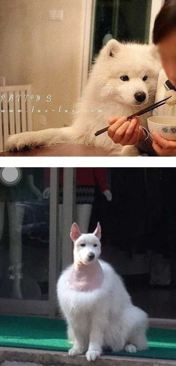 140414884069033.jpg