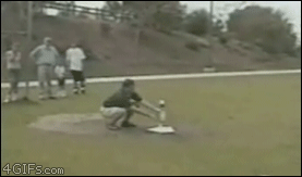 141817509943664.jpg