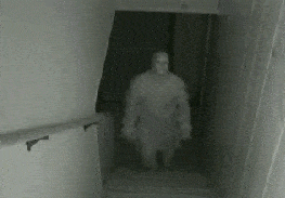 141818244377152.jpg
