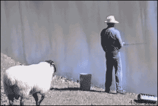 141973214681926.jpg