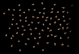 141973464818655.jpg