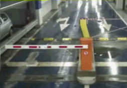 142175459857304.jpg