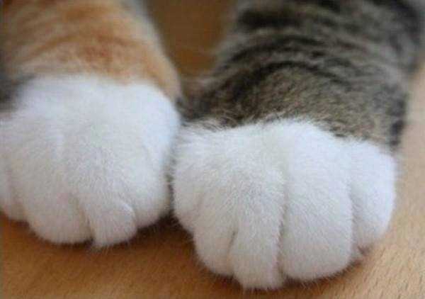 142604285137002.jpg