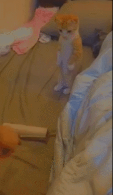 144046909995148.jpg