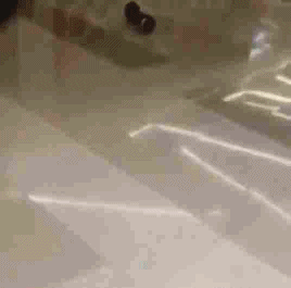 144652555524021.jpg