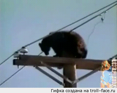 145886167985559.jpg