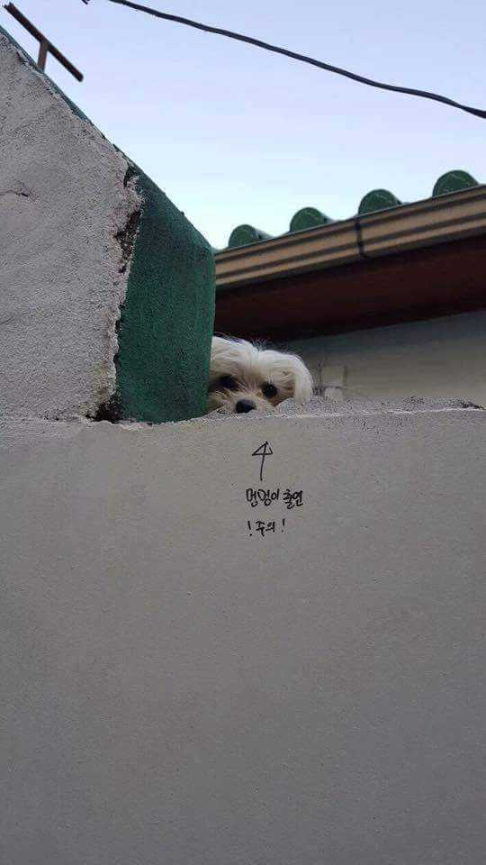146060930171681.jpg