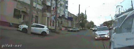 146190151992350.jpg