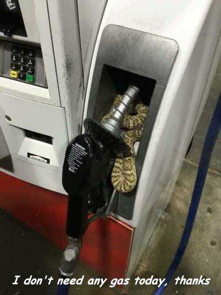 147346014230797.jpg