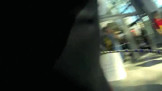 147346387691713.jpg