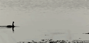 147397788669937.jpg