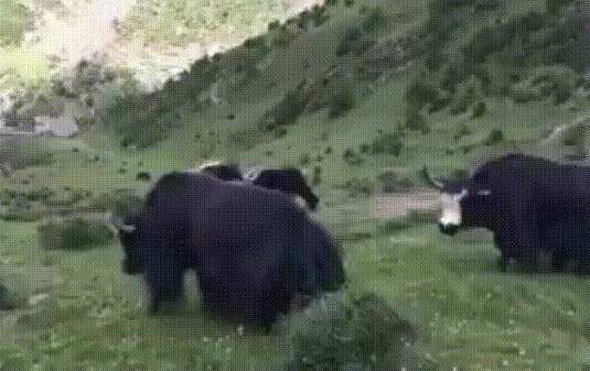 147579939818301.jpg