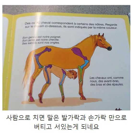 148003165025359.jpg