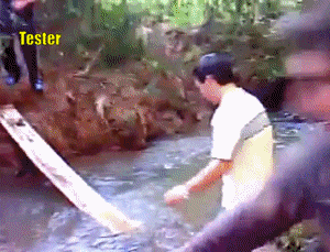 148215176397502.jpg