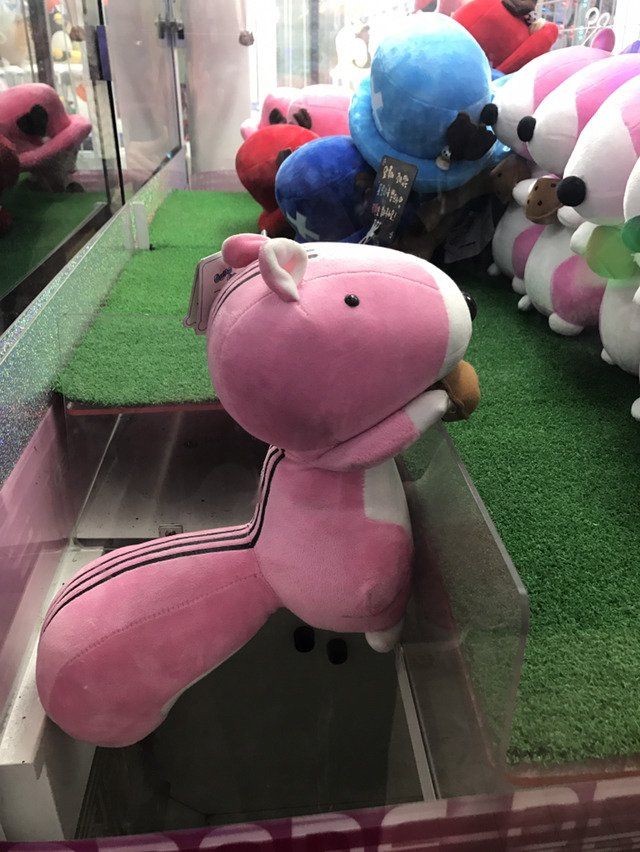 148315555288221.jpg