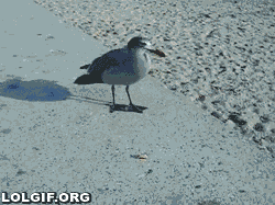 148586967012130.jpg