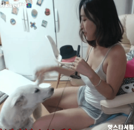 148879254528403.gif