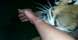 148941121782091.gif
