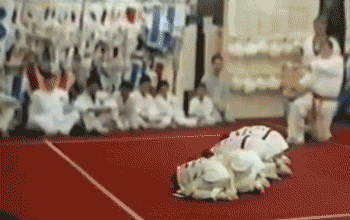 149209443729004.gif