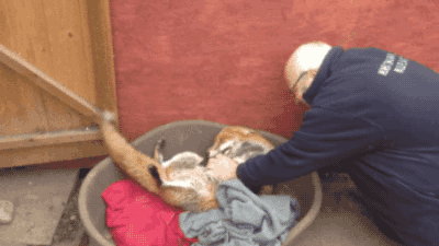 149243487393973.gif