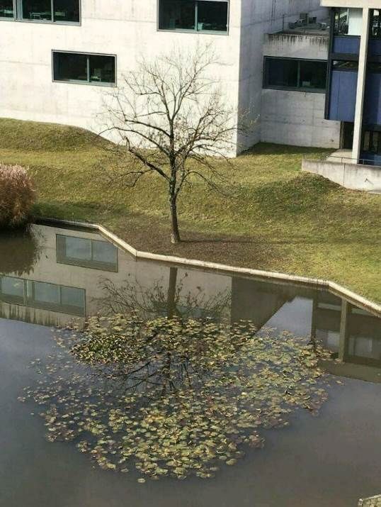 149268997560915.jpg