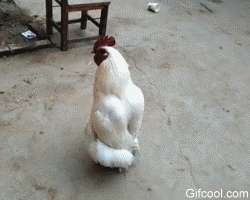 149269492863925.gif