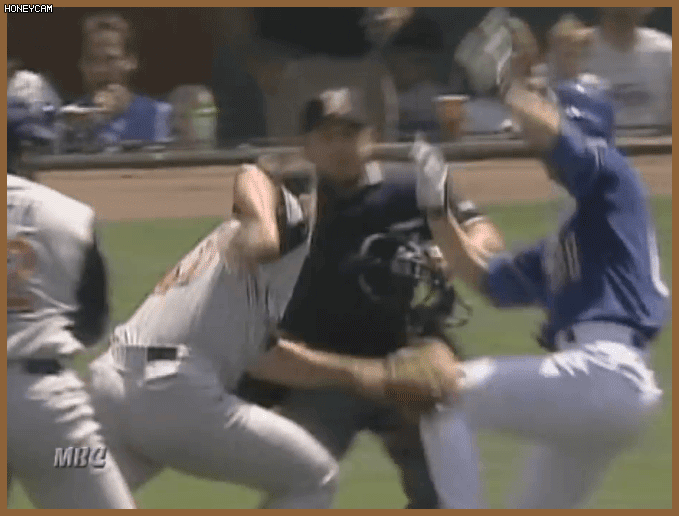 149396391287863.gif