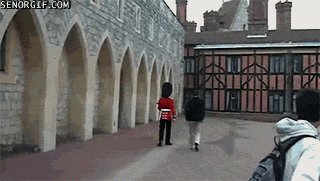 149440737352038.gif