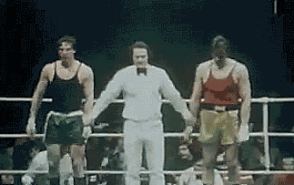 149481255097328.gif