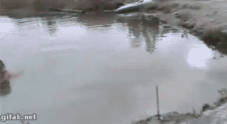 149571882548495.gif
