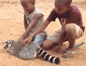149577596969908.gif