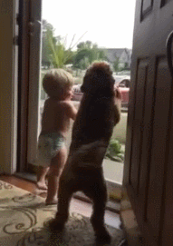 149605567096653.gif