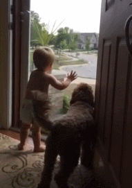 149605567143281.gif