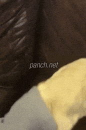 149610621176536.gif