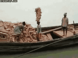 149613331052527.gif
