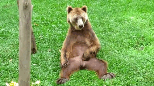 149847246538659.gif