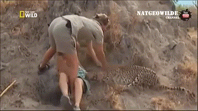 149855177149163.gif
