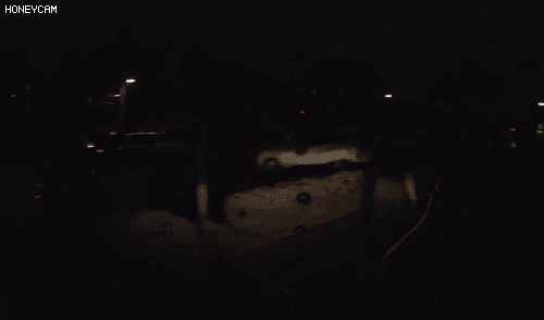 149878325015725.gif