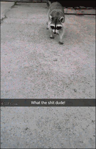 149912818486082.gif