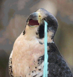 150001324520948.gif
