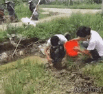 150001514570760.gif